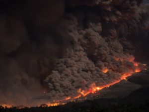 WildfireEvacuation-WhitcombInsuranceAgency