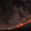 WildfireEvacuation-WhitcombInsuranceAgency